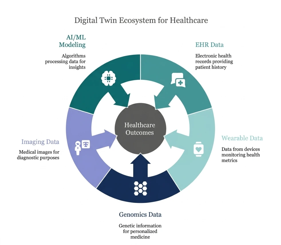 Diagram showing how genomic data, clinical records, and wearable measurements contribute to a medical digital twin.